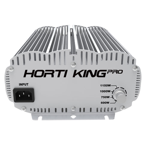 Horti King 400V 1000W Ballast