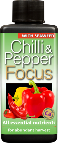 Chilli & Pepper Focus
