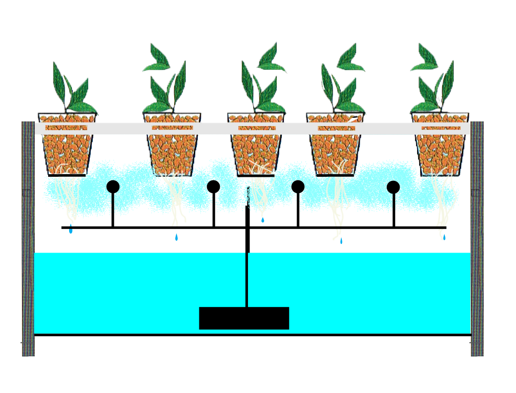 Why Use a Hydroponic System?