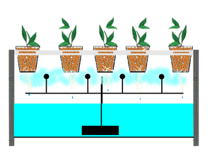 Why Use a Hydroponic System?