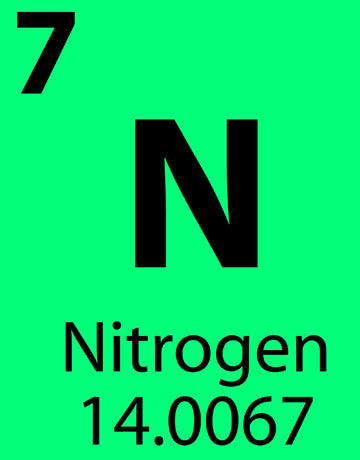 What is... Nitrogen
