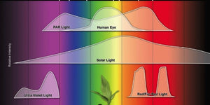 Light, Lumens, Lux and Par