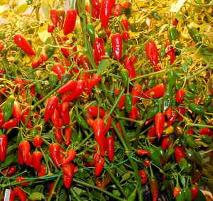 ﻿Grow it yourself: chilli pepper