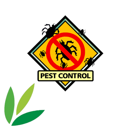 Plant Repair & Pest Control