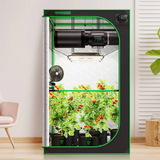 Grow tent with full kit setup and tomato plants growing