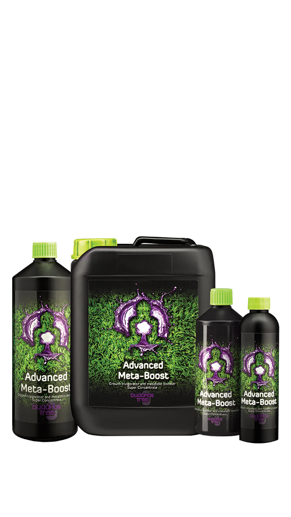 Buddhas Tree - Advanced Meta Boost – Gardening Solutions