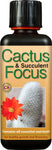 Cactus & Succulent Focus