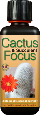 Cactus & Succulent Focus