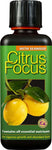 Citrus Focus