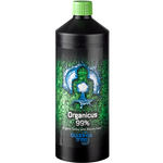 Buddhas Tree - Organicus - NPK Technology Hydroponics