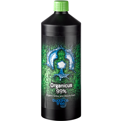 Buddhas Tree - Organicus - NPK Technology Hydroponics