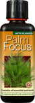 Palm Focus