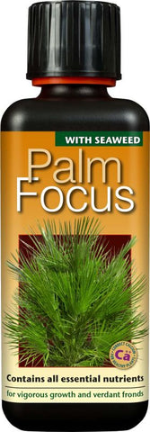 Palm Focus