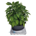 AutoPot PlantSkirt - NPK Technology Hydroponics