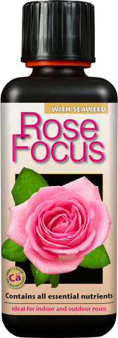 Rose Focus