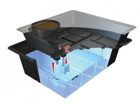 Ebb & Flood - Nutriculture - NPK Technology Hydroponics