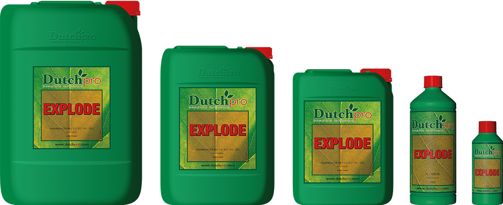 Dutch Pro Explode Chart Dutch Pro - Explode – Gardening Solutions