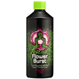 Buddhas Tree - Flower Burst - NPK Technology Hydroponics