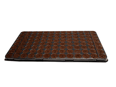 Plugin Pro 104 - Tray