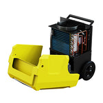 Storm DP Dual Voltage